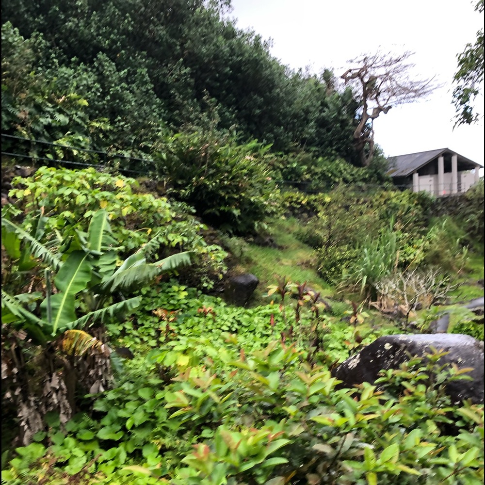 Meet your Posher, Abigail